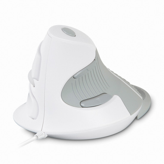 상품 대표이미지