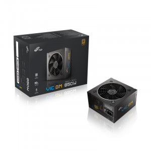 FSP FSP VIC GM 850W 80PLUS골드 풀모듈러 ATX 3.1