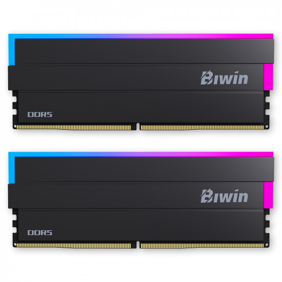 BIWIN DDR5-6000 CL30 DW100 RGB 블랙 패키지 (32GB(16Gx2)) : 몬스타